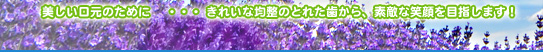 美しい口元のために…きれいな均整のとれた歯から、素敵な笑顔を目指します！